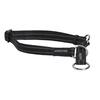 Buster collar dog