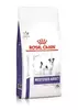 Royal Canin Dog Neutered Adult Small sausā barība sterilizētiem mazo šķirņu suņiem 8kg