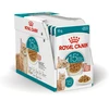 FHN C Ageing 15+ Gravy 12x85 g