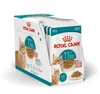 FHN C Ageing 11+ Gravy 12x85 g