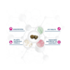 Forza10 Active VetDiet Intestinal Puppy 1,5kg