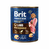 Brit Premium by Nature lamb meat, 800g