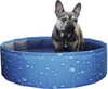 Dog pool Bubble S, 80x20cm